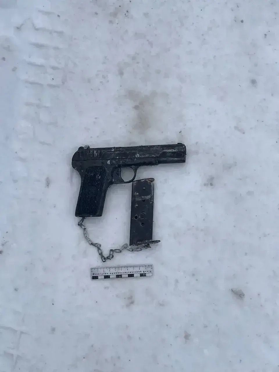 В Елабужском районе у нижекамца изъяли пистолет ТТ, патроны и предмет, похожий на гранату