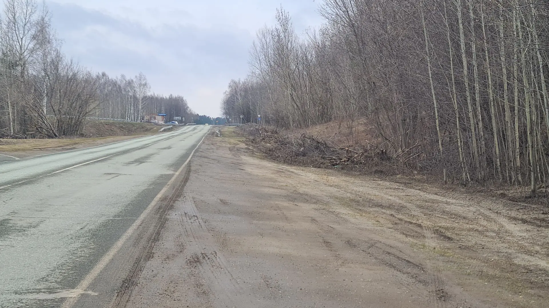 В Елабужском районе нашли свалки вдоль дорог и у контейнеров