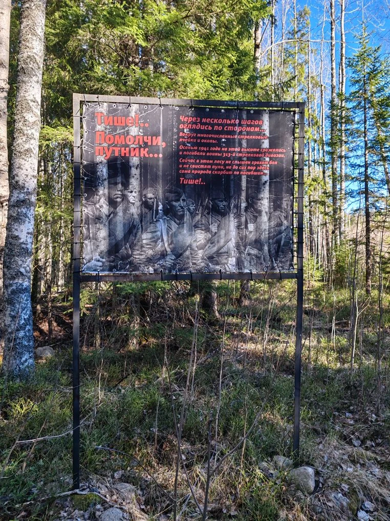 «Здесь земля, по которой он ходил»: как елабужанка прошла по пути своего деда, погибшего в 1941 году