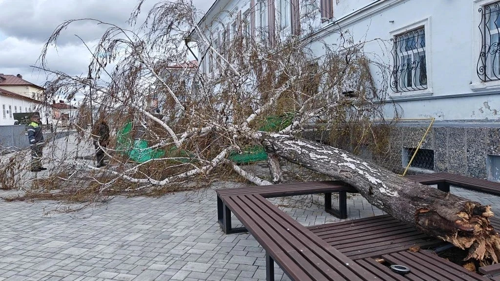 Береза едва не разбила бюсты героев: на Мемориале Памяти в Елабуге упало дерево