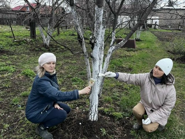 Педагоги Елабуги преобразили территорию Детского эколого-биологического центра