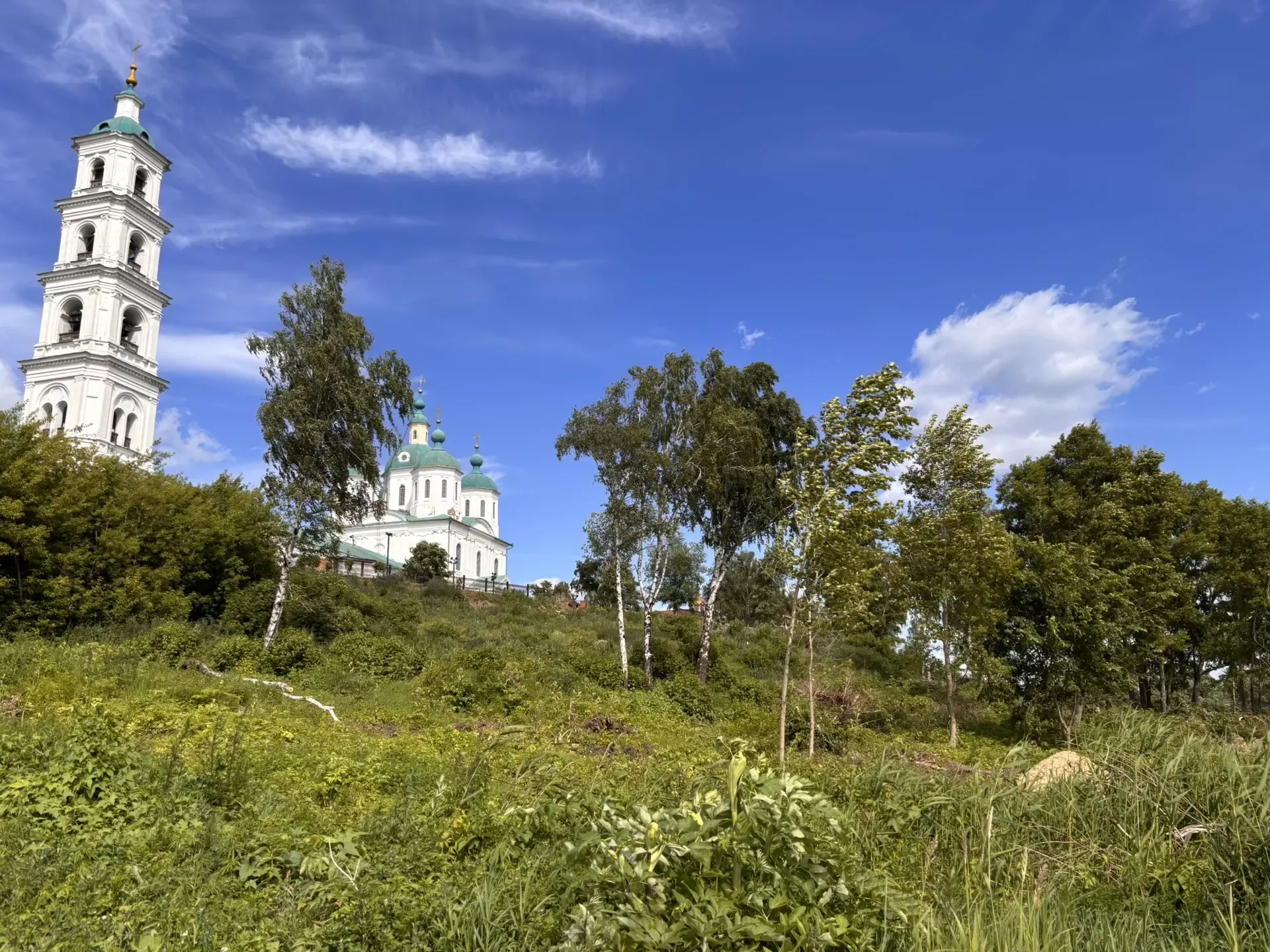 «Шишкин киңлекләре»: Алабугада тугайлы парк булдырыла