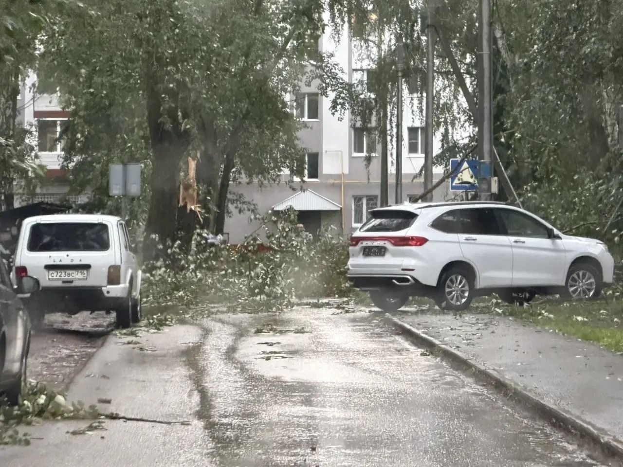 Мощный ливень и сильный ветер обрушились на Елабугу