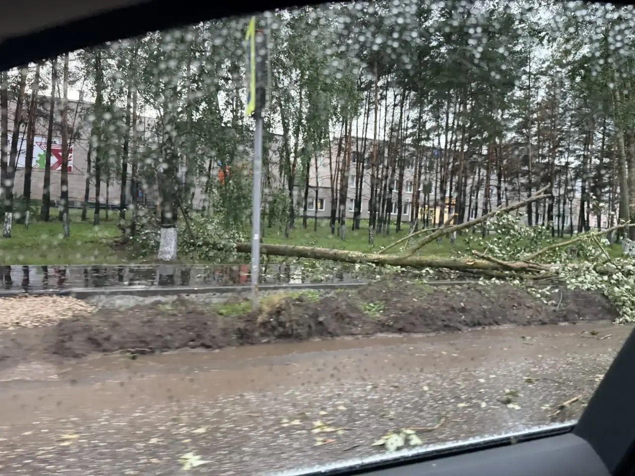 Мощный ливень и сильный ветер обрушились на Елабугу