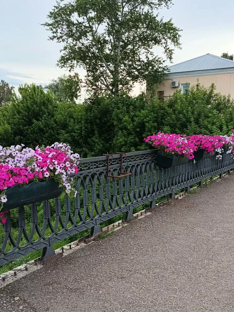Алабуга райбашкарма комитеты җитәкчесе шәһәр милкенә зыян китерүчеләрне җәза турында кисәтте