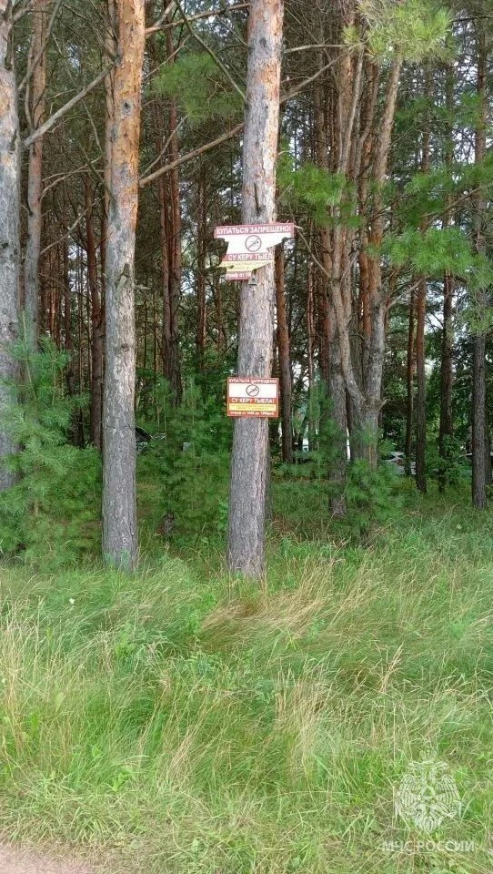 В Набережных Челнах на воде обнаружили погибшего человека