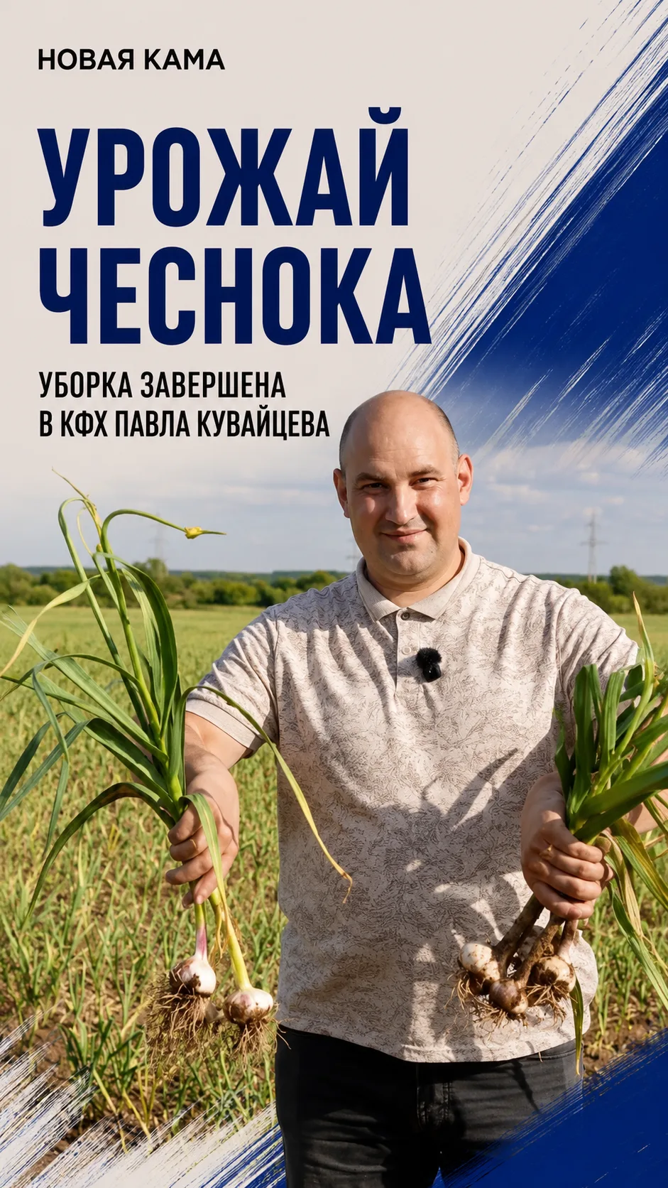 Чесночный урожай