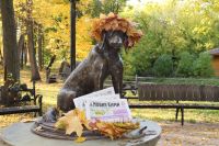 Удобно и быстро: как оформить подписку на районные газеты, не выходя из дома