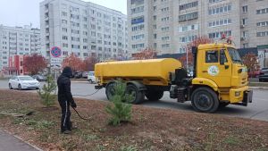 В Елабуге продолжается посадка деревьев