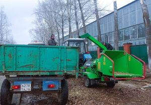 В Елабуге проводят работы по кронированию деревьев