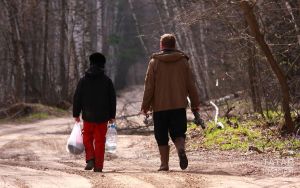 Алабуга районында талпан кадалуның беренче очрагы теркәлде