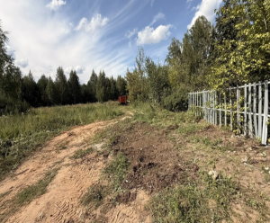 На Петропавловском кладбище в Елабуге убрали сухостой и вывезли мусор