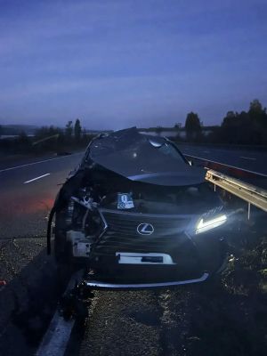 В Елабужском районе вновь произошло ДТП с лосем