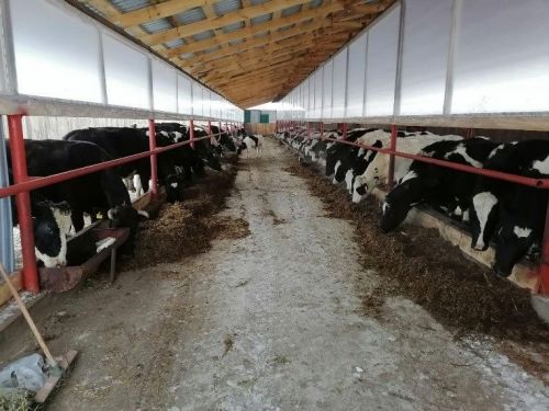 В Елабуге подвели итоги уходящего 2022 года по сельскохозяйственной отрасли