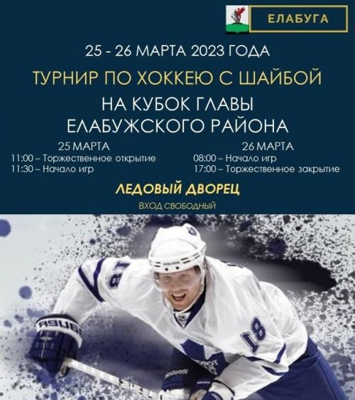 В Елабуге пройдет турнир по хоккею с шайбой на кубок главы района