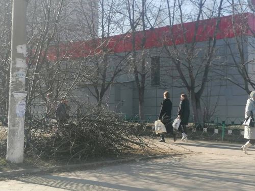 Не все елабужские коллективы вышли на субботник