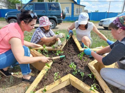 В Елабуге провели патриотическую акцию «Звезда Победа»