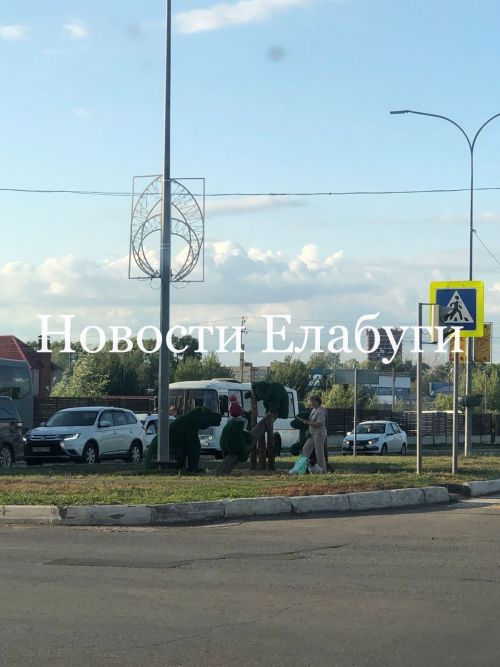 Елабужане возмущены поступком женщины, которая посадила на топиар ребенка
