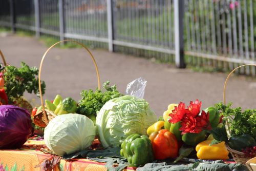 За фото овоща елабужане могут получить приз