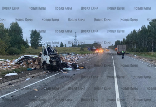 В Елабужском районе в результате ДТП погибли два человека