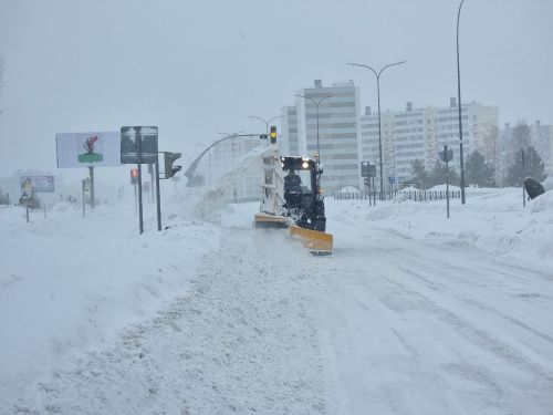 В Елабуге на ликвидацию последствий снегопада понадобится два-три дня