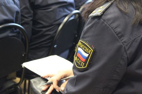 Приставы помогли челницу вернуть миллион