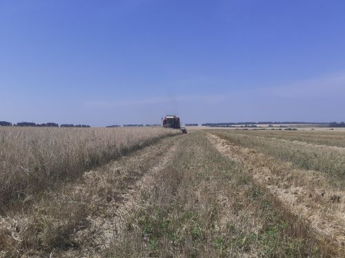 В Елабужском районе у одной из агрофирм сменился владелец