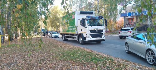 В Елабуге женщина попала под колеса грузовика