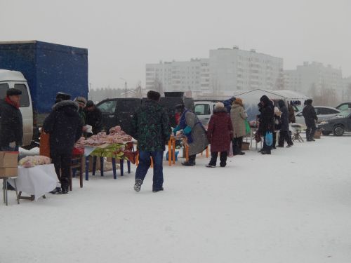 В Елабуге пройдут предновогодние сельхозярмарки