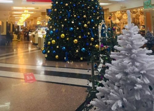 234 ребенка из Елабуги поедут на елку Раиса РТ