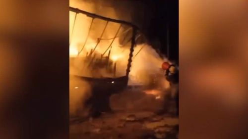 Собака спровоцировала страшное ДТП, в котором погибли люди