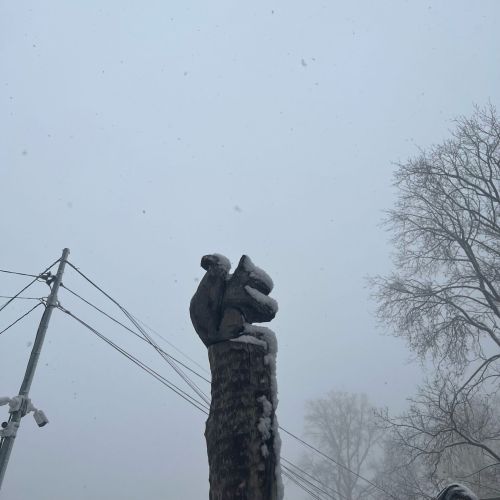 Приметы на 26 декабря 2024 года: что категорически запрещается делать в этот день