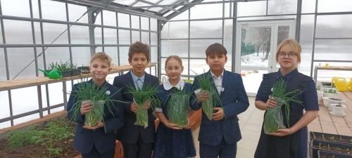 Ученики «Университетской школы» выращивают зелень для супов бойцам
