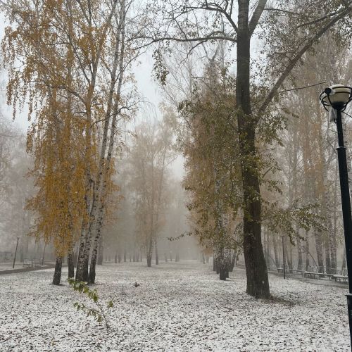 Татарстанцев предупреждают о тумане и сильном ветре