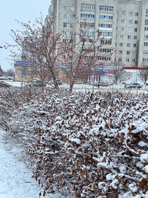 Гидрометцентр Татарстана прогнозирует похолодание и небольшой снег