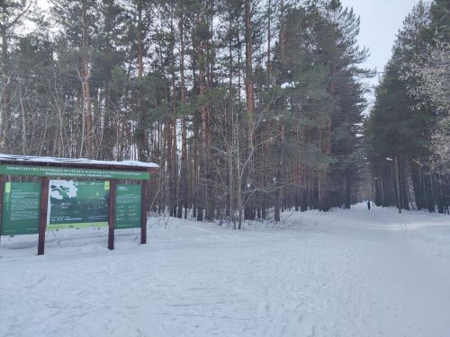 Приметы на 15 марта 2024 года: что категорически запрещается делать в этот день