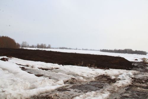 В этом году елабужане будут отдыхать на новом пляже