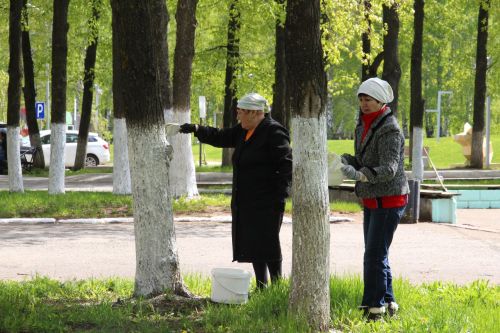 За две недели в средниках и субботниках приняли участие более 1800 елабужан