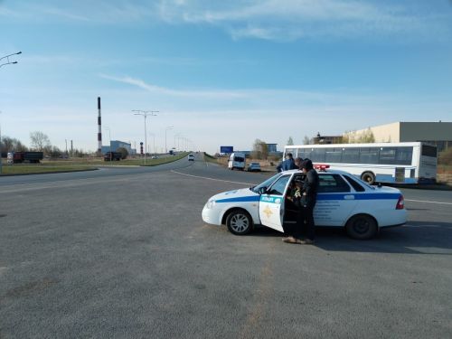 Елабужских водителей ожидает массовая проверка