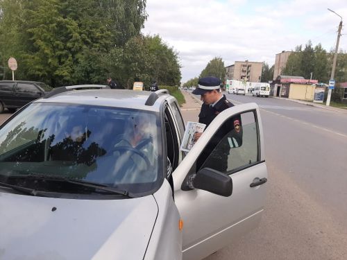 В Татарстане стартует профилактическое мероприятие «Внимание – дети!»