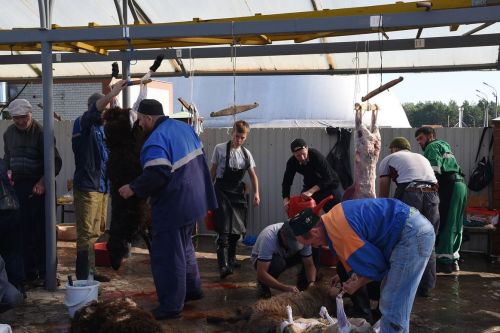 Курбан-байрам в 2024 году: дата, кто обязан совершать жертвоприношение