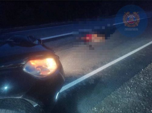 В Елабужском районе насмерть сбили 36-летнего пешехода