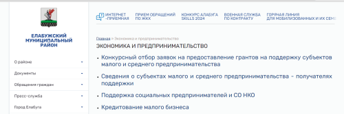 В Елабуге предприниматели могут заявиться на конкурс на получение гранты главы района