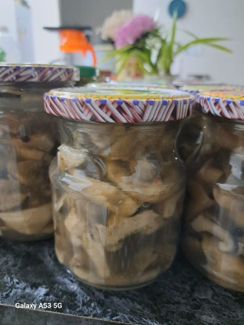 Елабужанка поделилась рецептом маслят в маринаде на зиму в банках