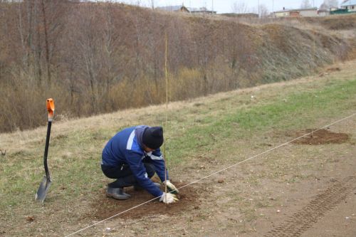 В октябре в Татарстане пройдет природоохранная акции «Сохраним лес»