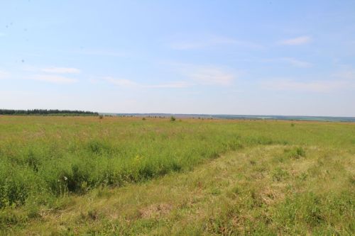 Многодетные елабужане получат участки в Чиршах, Мортах и Старом Юраше