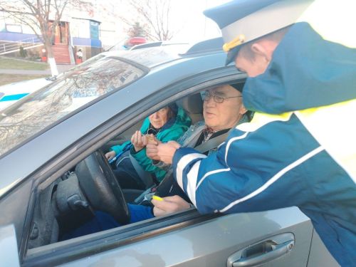 В Елабуге прошла акция «С заботой о пожилых участниках дорожного движения»