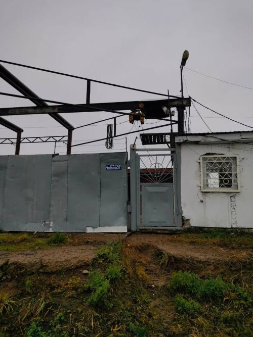 В четвертом микрорайоне Елабуги провели отлов опасных собак с участием зоозащитников
