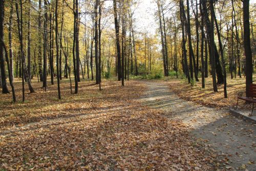 В Татарстане до конца недели установится аномальное тепло