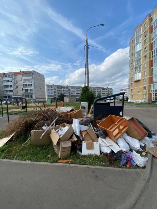 От мебели до веток: как правильно утилизировать мусор в Елабуге